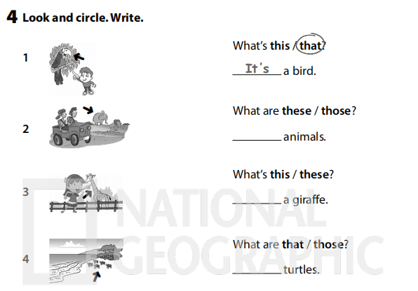 Sách bài tập Tiếng Anh 3 Wonderful World Unit 3 Lesson 3