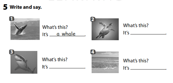 Sách bài tập Tiếng Anh 3 Wonderful World Unit 3 Lesson 3