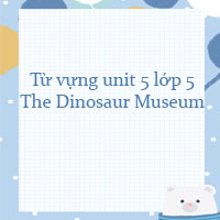 Từ vựng Unit 5 lớp 5 The Dinosaur Museum