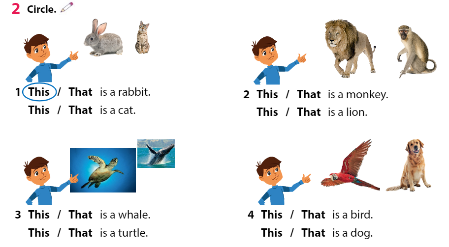 Tiếng Anh 3 Wonderful World Review 2 Part 2