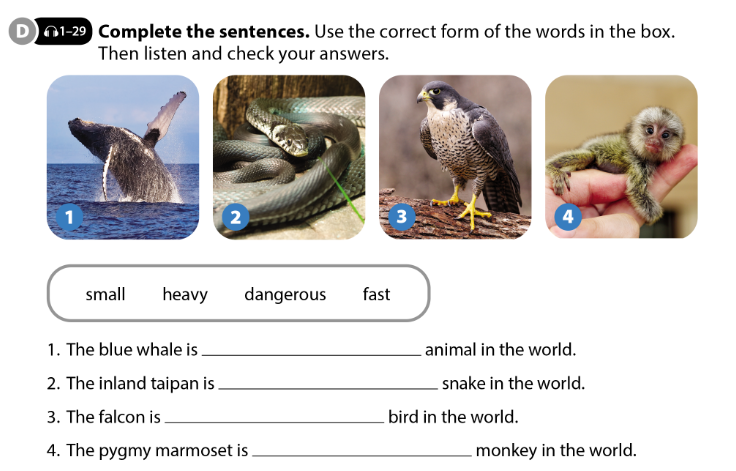 Tiếng Anh 7 Cánh Diều Unit 4 Language Focus