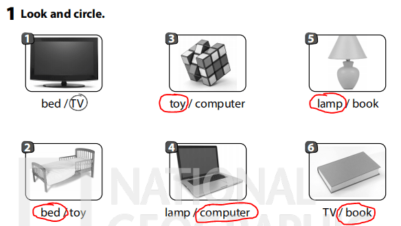 Sách bài tập Tiếng Anh 3 Wonderful World Unit 4 Lesson 2