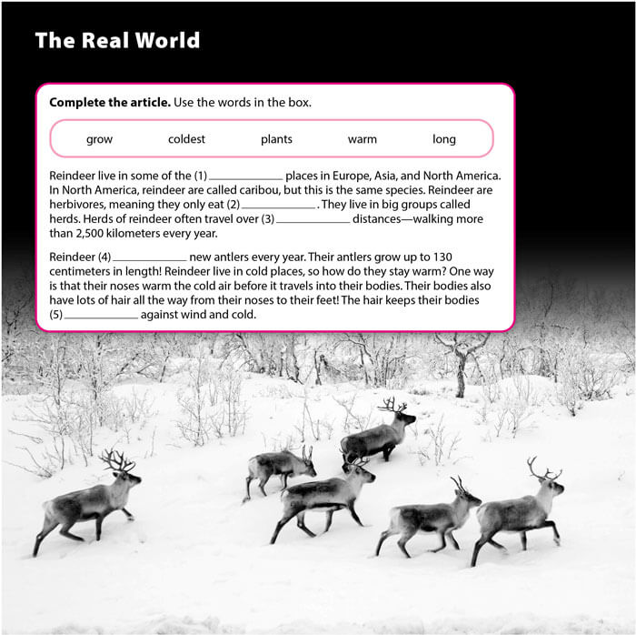 SBT Tiếng Anh 7 Cánh Diều Unit 4 The Real World