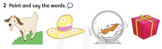 Family and Friends 3 Unit 4 Lesson 4