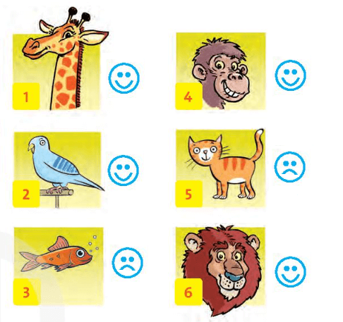 Family and Friends 3 Unit 4 Lesson 6