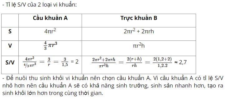 Giải Sinh 10 Ôn tập phần 3 CD
