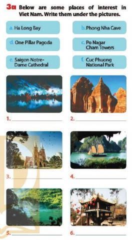 tiếng Anh lớp 9 Unit 5 Getting started