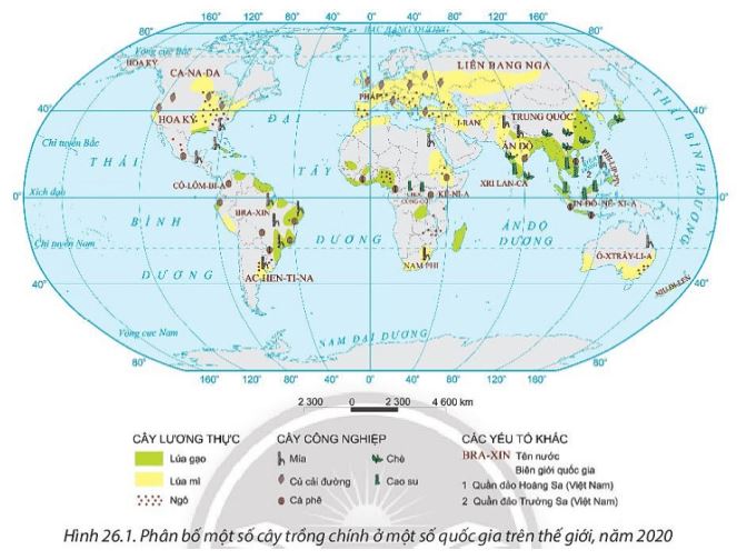 Giải Địa 10 Bài 26