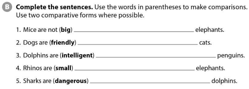 SBT Tiếng Anh 7 Cánh Diều Unit 5 Vocabulary Focus