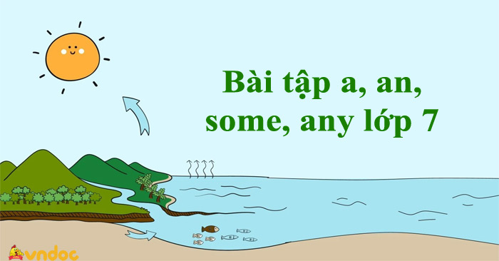 Bài tập a, an, some, any lớp 7