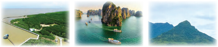 Bài 4: Mênh mông mùa nước nổi