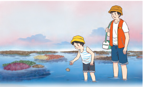 Bài 1: Cậu bé và mẩu san hô