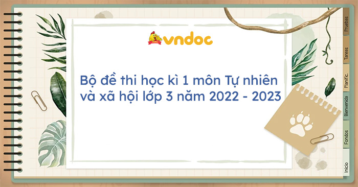 Bộ đề thi học kì 1 môn Tự nhiên và xã hội lớp 3 năm 2022 - 2023