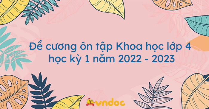 Đề cương ôn tập Khoa học lớp 4 học kỳ 1 năm 2022 - 2023