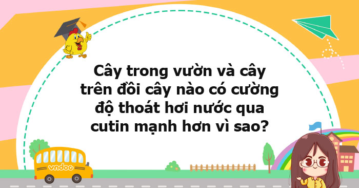 Cây trong vườn và cây trên đồi cây nào có cường độ thoát hơi nước qua ...