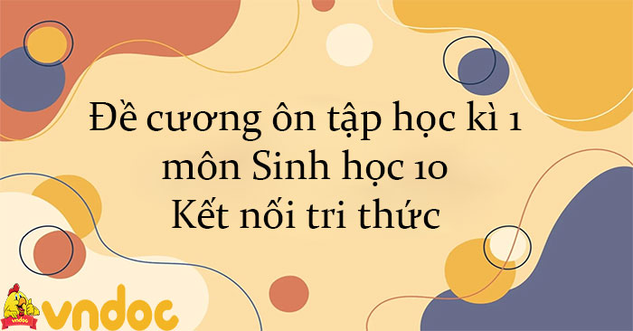 Đề cương ôn tập học kì 1 môn Sinh học 10 Kết nối tri thức - Đề cương ôn ...