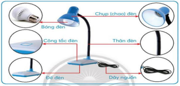 Đề thi Học kì 1 Tin học lớp 3 Chân trời sáng tạo có đáp án