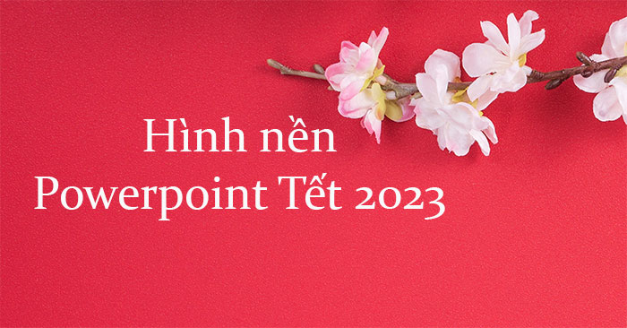 Download Hình nền Powerpoint Tết 2019 File ZIP  Hình nền năm mới cho