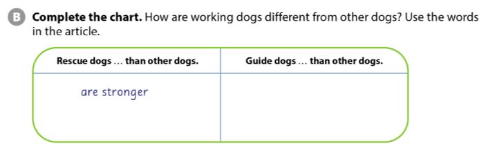 Tiếng Anh 7 Cánh Diều Unit 5 Comprehension