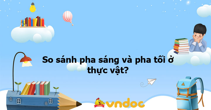 So sánh pha sáng và pha tối ở thực vật - Ôn tập môn Sinh học 11 - VnDoc.com