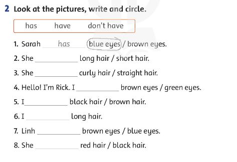 Family and Friends 3 Workbook Unit 6 Lesson 2 trang 43