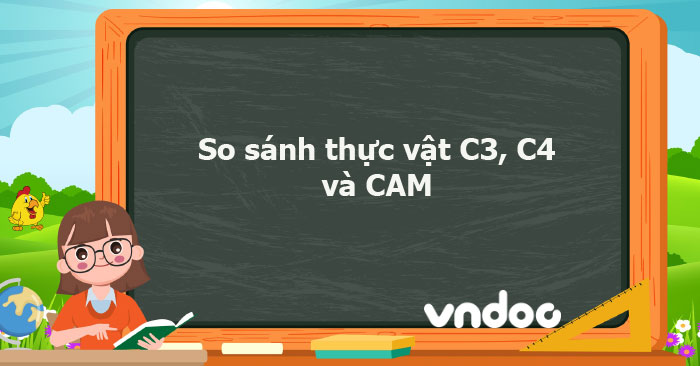 So sánh thực vật C3, C4 và CAM