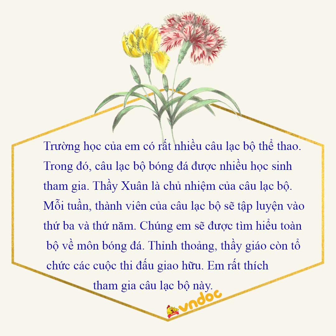 Dàn ý kể về một câu lạc bộ thể thao