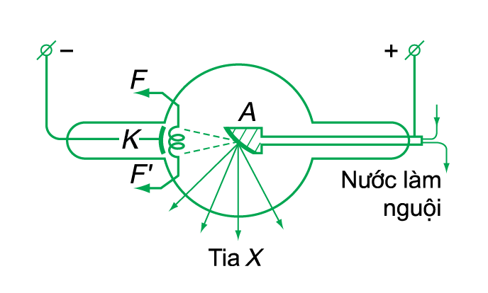 Lý thuyết Tia X | Vật lí lớp 12 (ảnh 1)