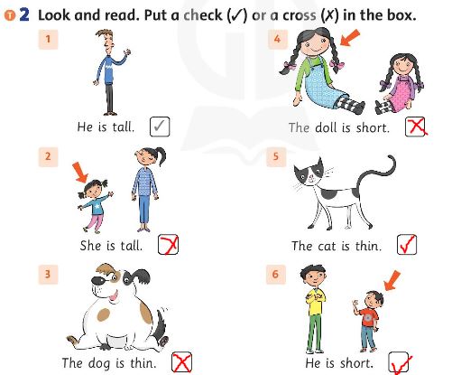 Family and Friends 3 Workbook Unit 6 Lesson 3 trang 44