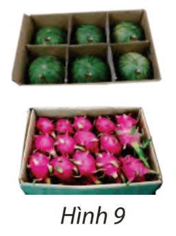 Giải Toán 10 Bài 1