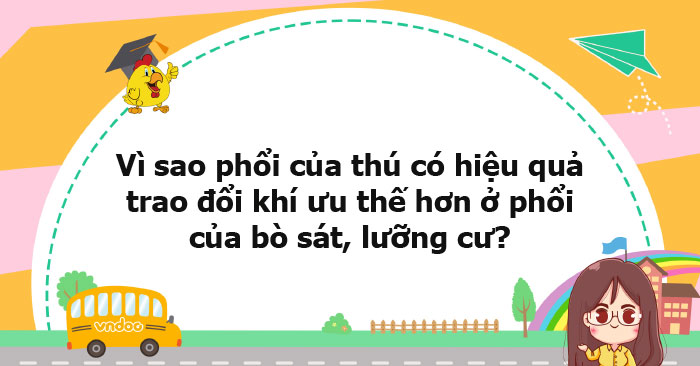 Vì sao phổi của thú có hiệu quả trao đổi khí ưu thế hơn ở phổi của bò ...