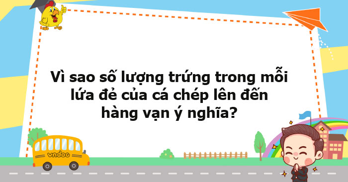 Vì sao số lượng trứng trong mỗi lứa đẻ của cá chép lên đến hàng vạn ý ...