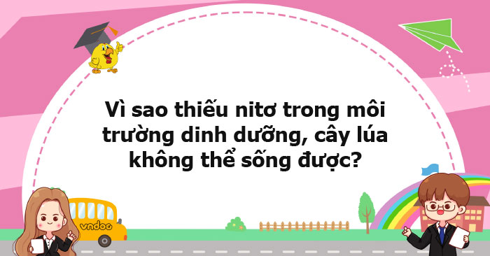 Vì sao thiếu nitơ trong môi trường dinh dưỡng, cây lúa không thể sống ...