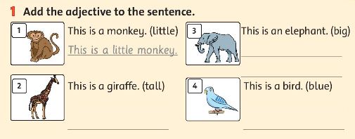 Family and Friends 3 Workbook Review 2 trang 48