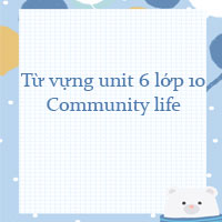 Từ vựng unit 6 lớp 10 Community life