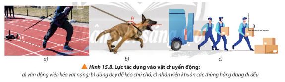 Giải Lý 10 Bài 15