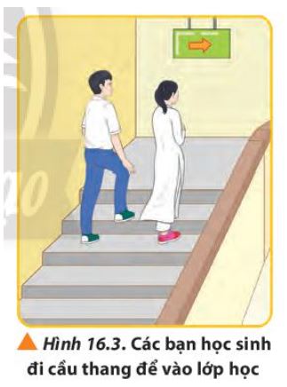 Giải Lý 10 Bài 16