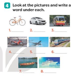 Unit 7 lớp 7 Getting Started sách Global Success