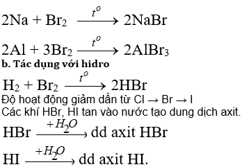 ôn tập hóa 10