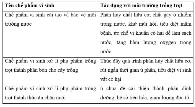 Giải Công nghệ 10 Ôn tập chủ đề 8 CD