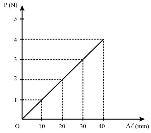 Giải Lý 10 Bài 23