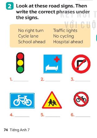 Unit 7 lớp 7 A Closer Look 1 sách Global Success