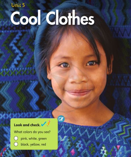 Tiếng Anh lớp 3 Cánh Diều Unit 5 Unit Opener