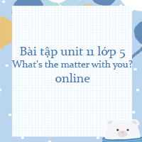 Bài tập unit 11 lớp 5 What's the matter with you? online