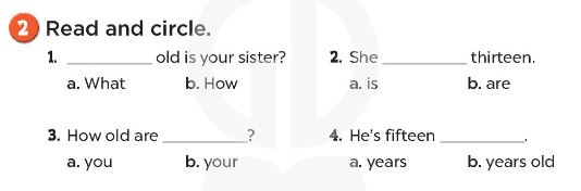 Sách bài tập Tiếng Anh 3 Unit 11 My family