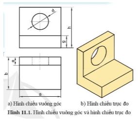Giải Công nghệ 10 Bài 11