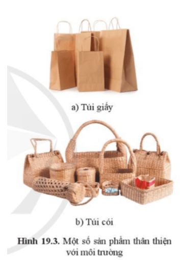 Giải Công nghệ 10 Bài 19