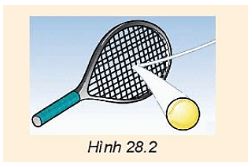 Giải Lý 10 Bài 28 KNTT