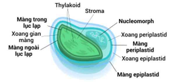ôn tập sinh học 10