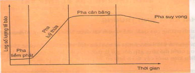 ôn tập sinh 10